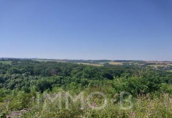 terrain